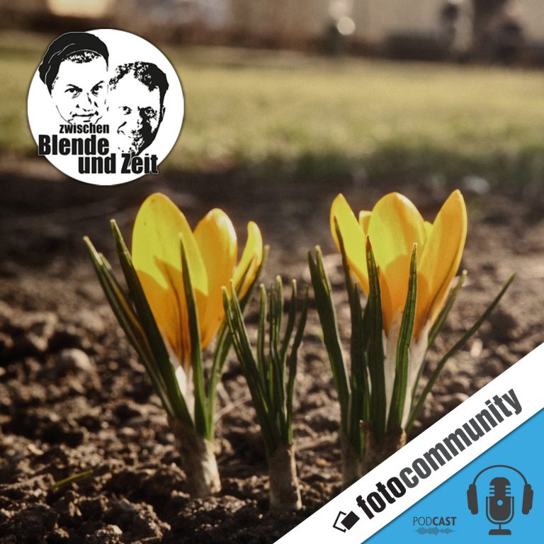 459 – Rausgehen, hinschauen, fotografieren – warum der Frühling unsere Wahrnehmung wieder öffnet